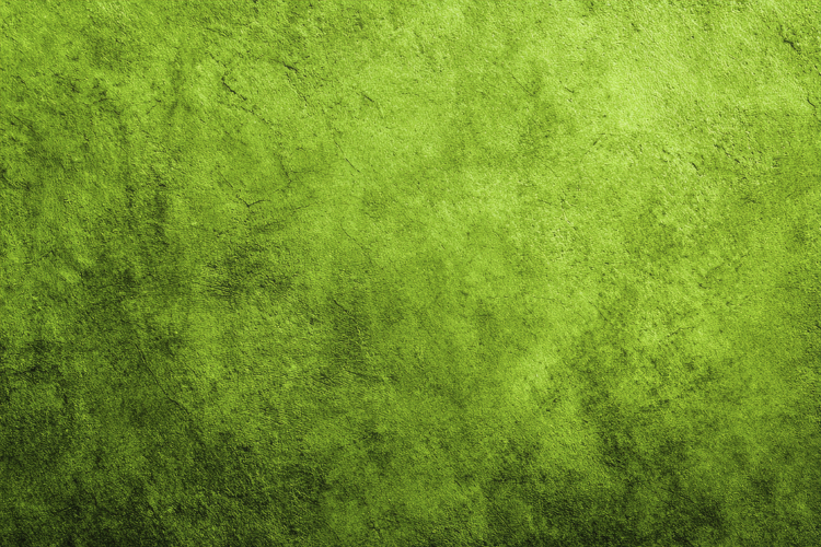 Green Texture Image 5