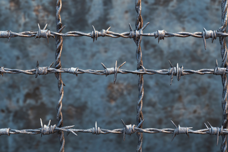 Barbed Wire Clipart Image 6