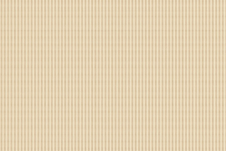 Stripe Texture Image 21