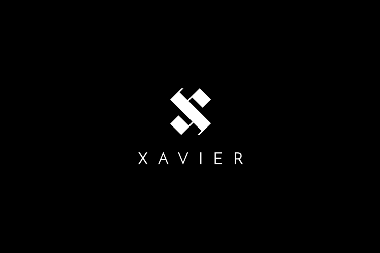 Xavier - Letter X Logo