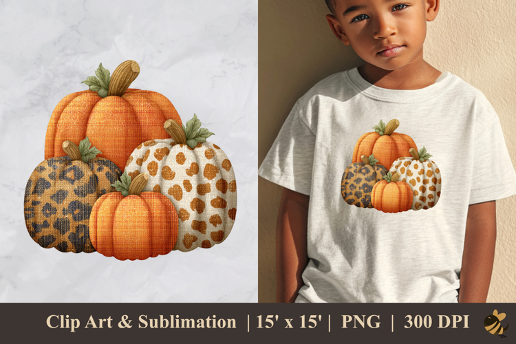 Pumpkin Texture Image 3
