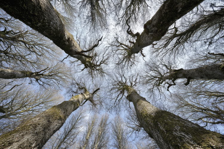 Craft Clipart Image 4