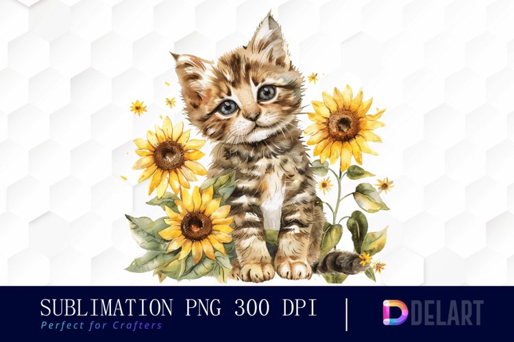 Kitten Png Image 21