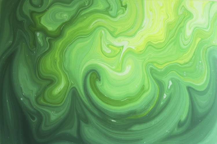 Green Wallpaper Image 9