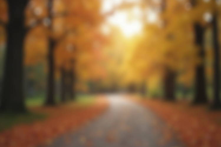 Blur Pathway During Autumn Background Wallpaper