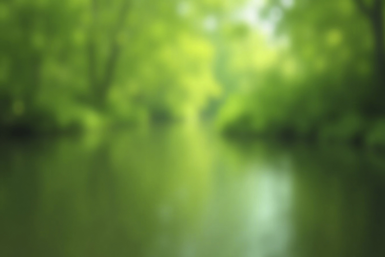 Green Texture Image 11