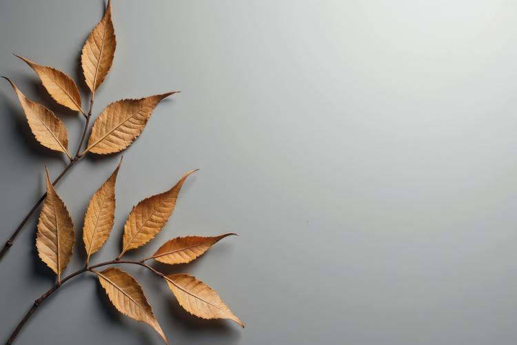 Orange Brown Leaves Background Wallpaper