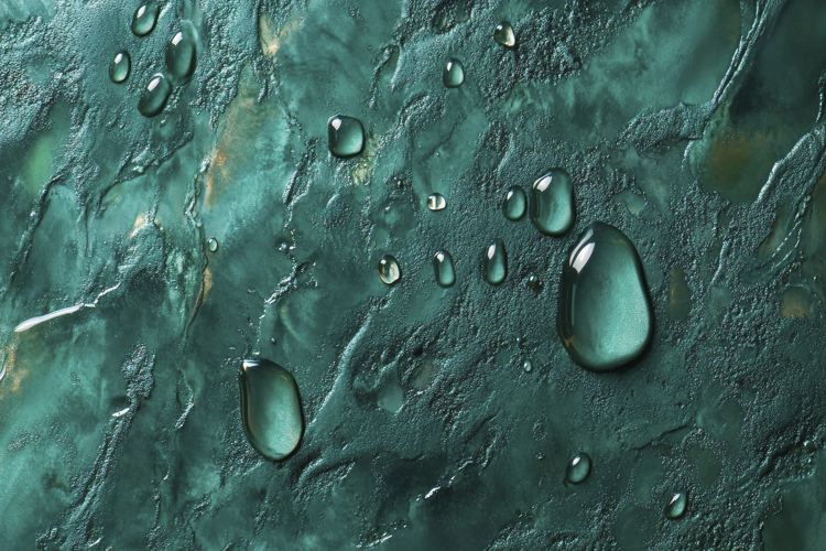 Waterdrops Green Background Wallpaper