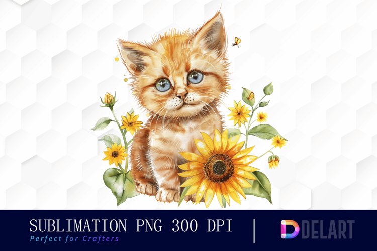 Kitten Png Image 20