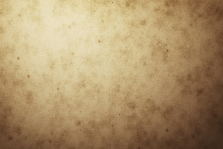 Vintage Paper Texture