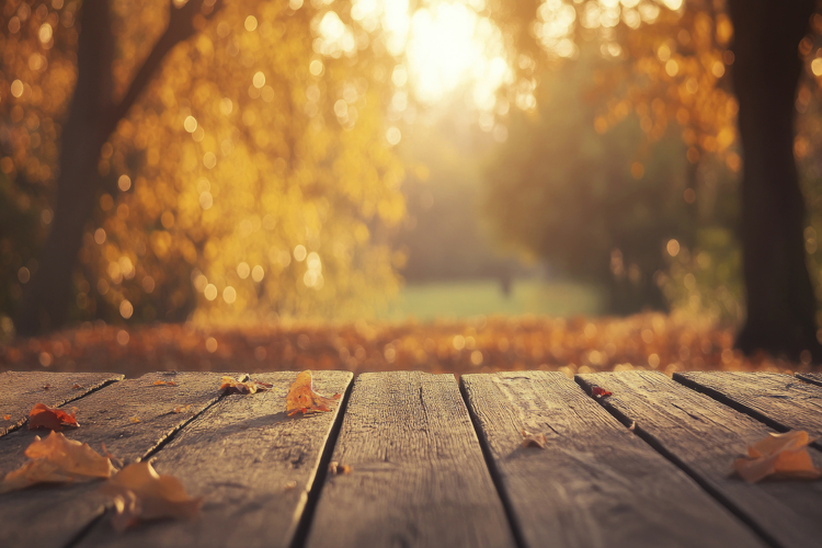 Table with Autumn Background Wallpaper