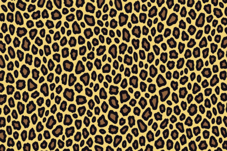 Leopard Print Background Image 18