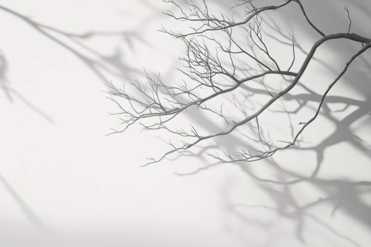 Tree Texture Image 24