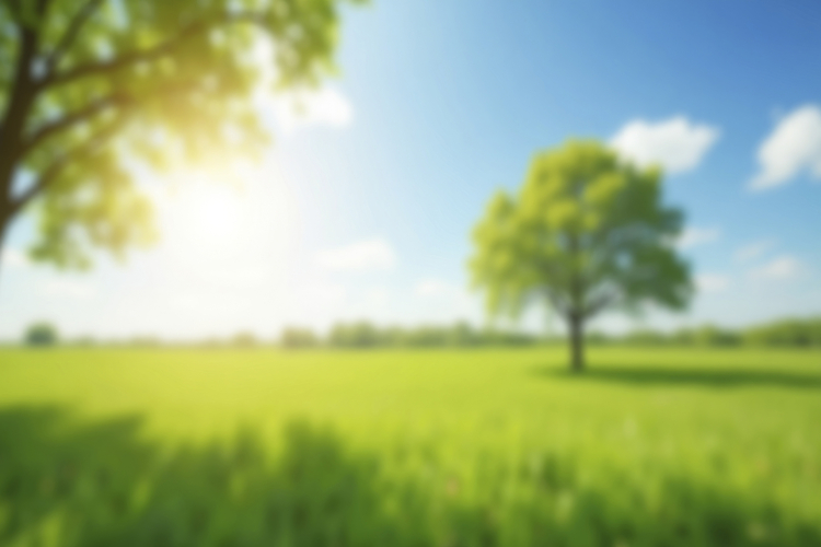 Landscape Background Image 18