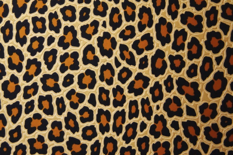 Leopard Print Background Image 17
