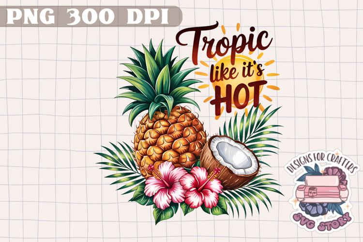Flip Flops Png Image 16
