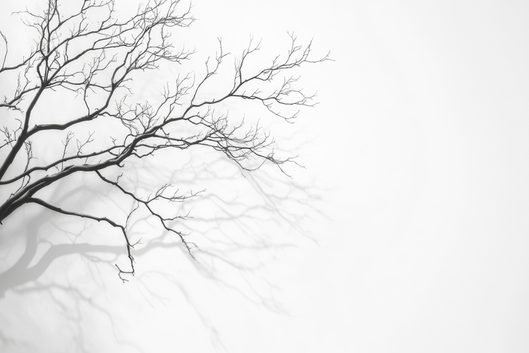 Tree Texture Image 23