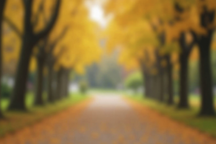 Park Background Image 7