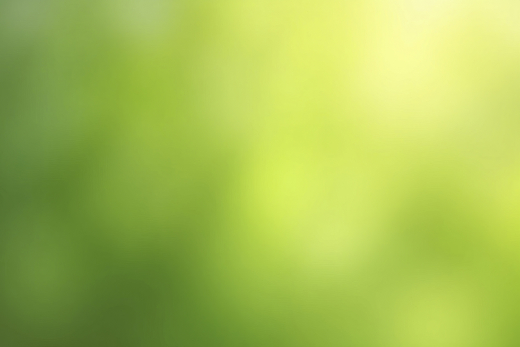 Green Blurred Background Wallpaper