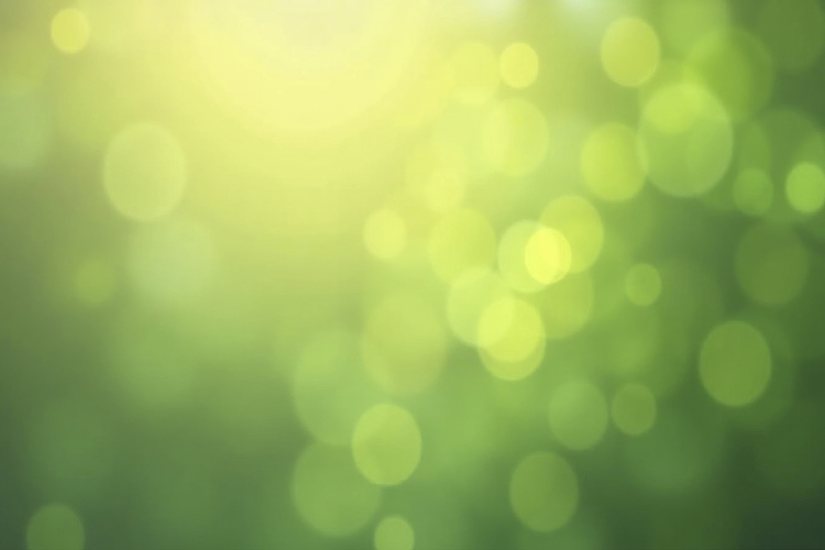 Green And Yellow Background Image 14