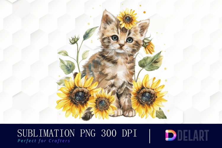 Kitten Png Image 16