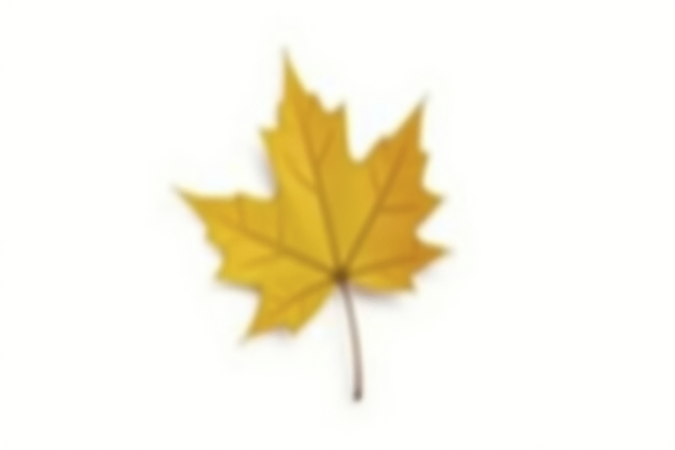 Leaf Texture Image 7