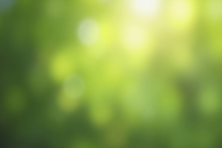 Green Texture Background Image 17