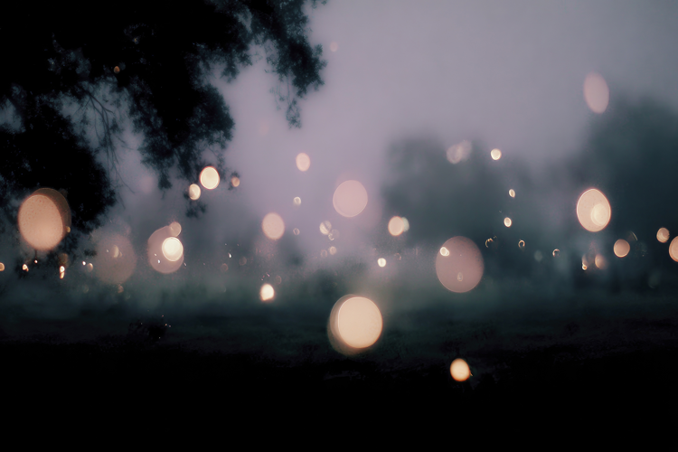 Bokeh Blur Background Wallpaper