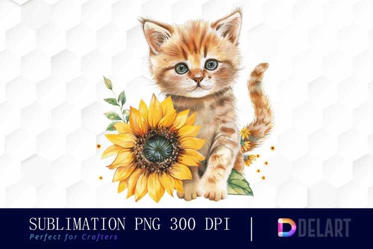 Kitten Png Image 18