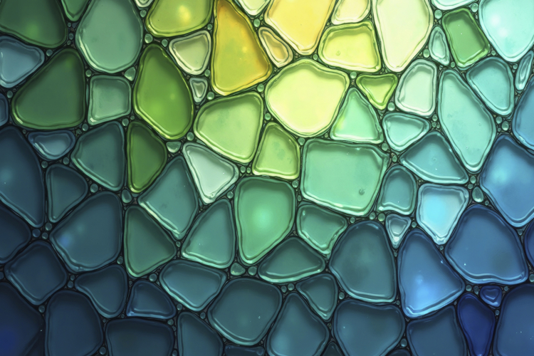 Pattern Background Image 14