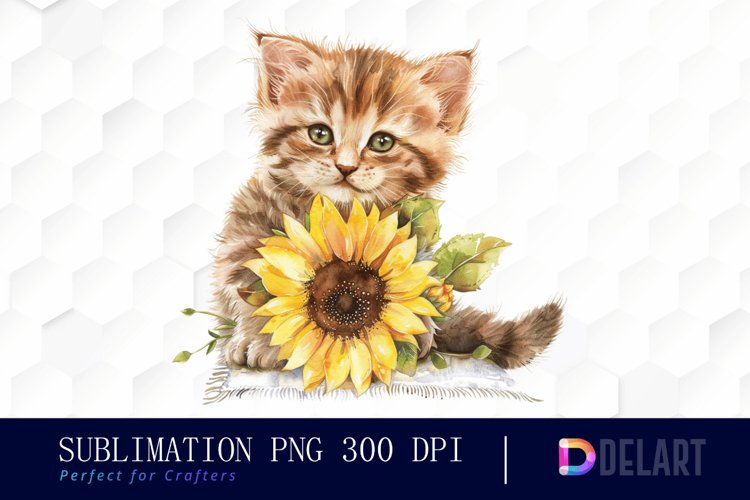 Kitten Png Image 15