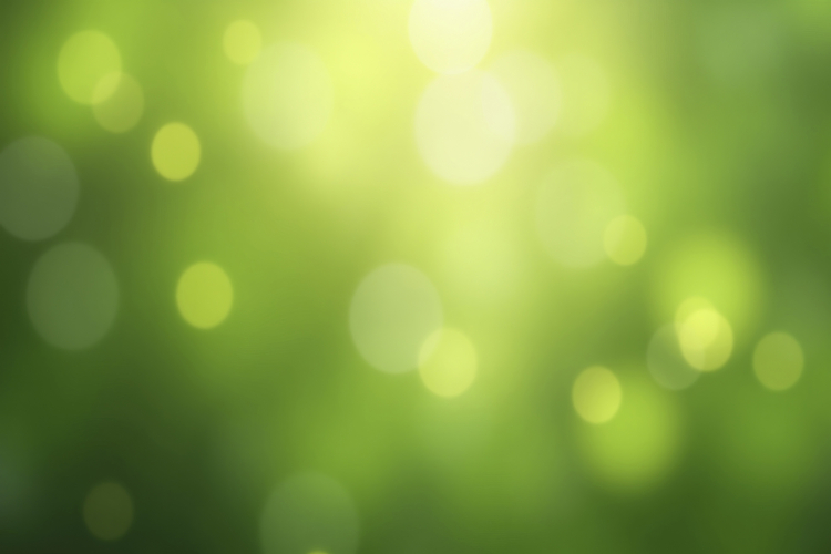 Green Texture Background Image 16