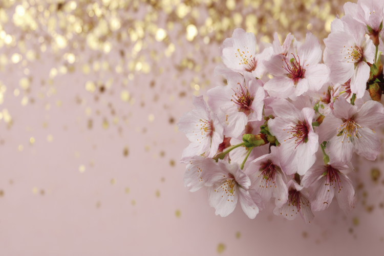 Pink Blossoms with Gold Particles Background Wallpaper