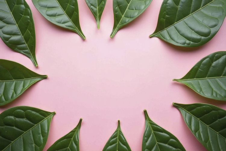 Pink Background Image 18