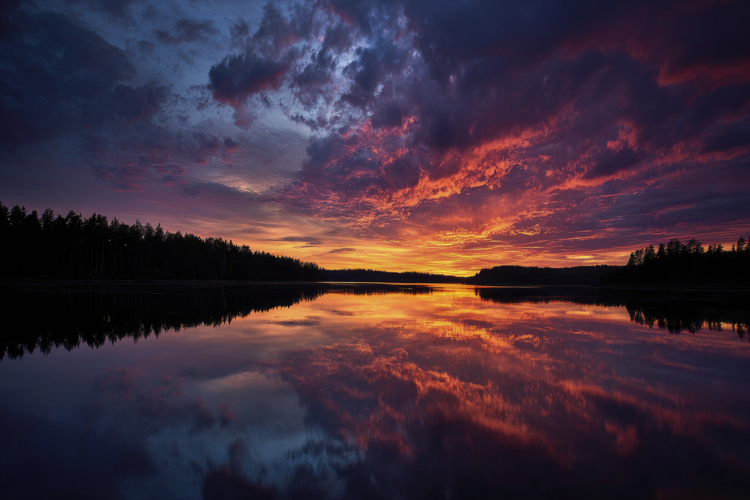 Sunrise over Lake Forest Background