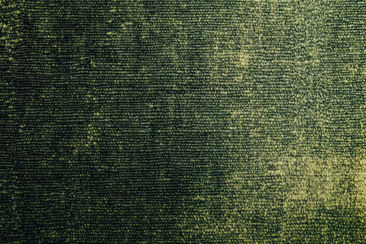 Green Texture Background Image 4