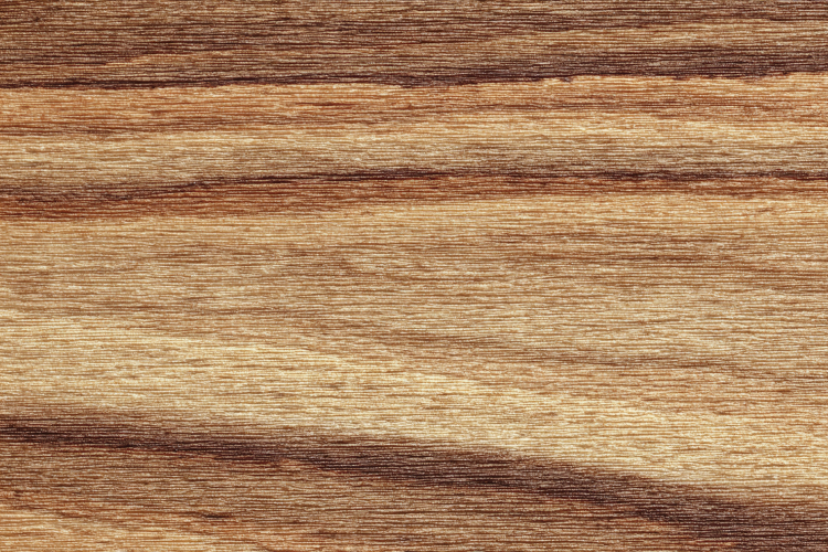 Craft Clipart Image 6