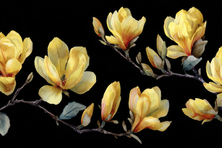 Craft Clipart Image 21