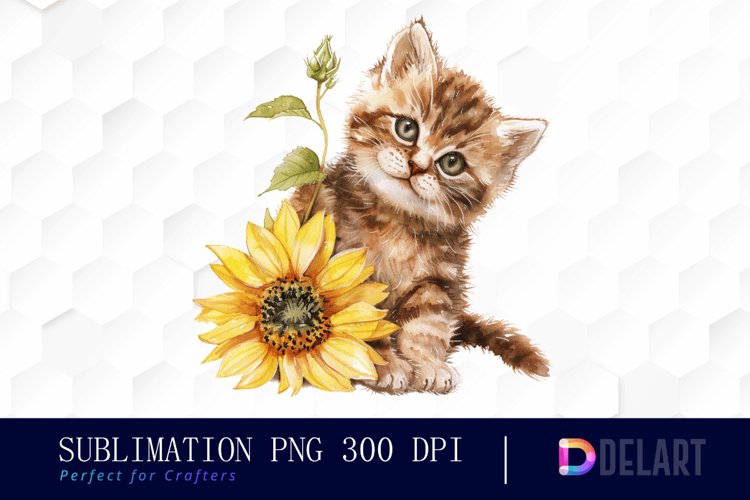 Kitten Png Image 13
