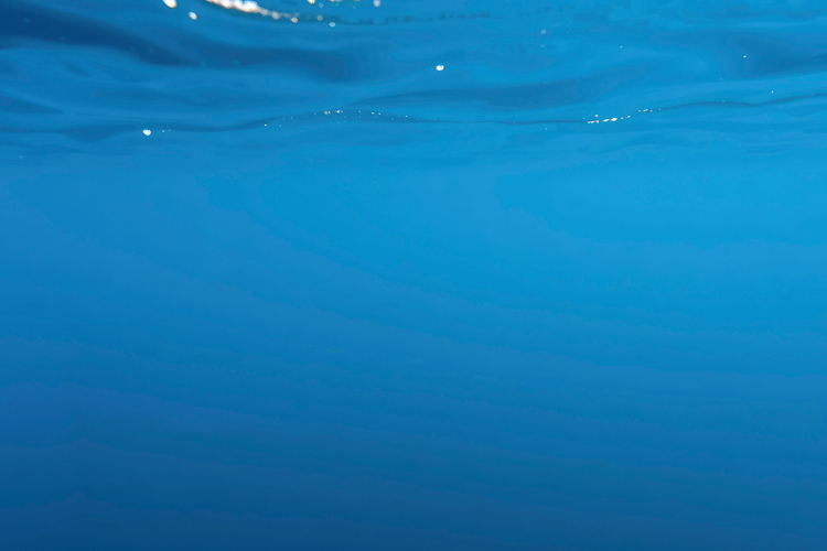 Underwater Background Image 8