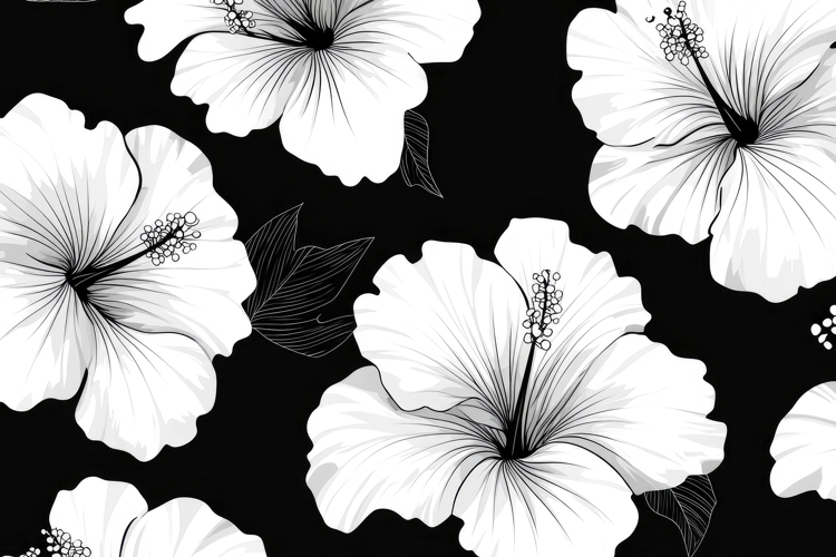 Hibiscus Flower Clipart Image 18