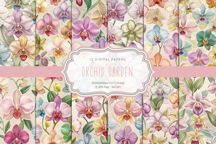 Orchid Clipart Image 23