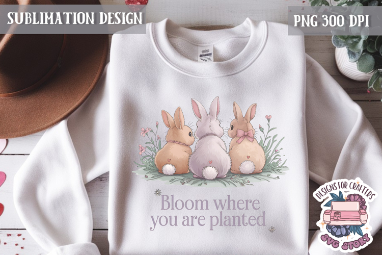 Animal Png Image 17