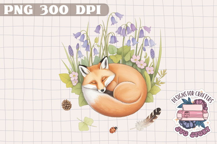 Watercolor Delicate Cottage core Summer Clipart PNG