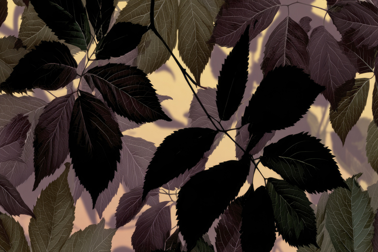 Craft Clipart Image 7