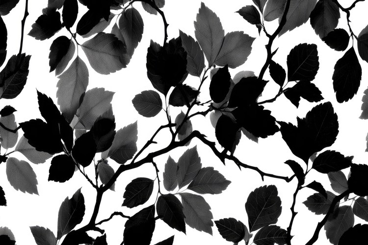 Craft Clipart Image 6