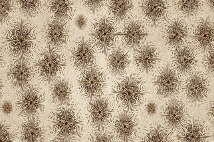 Sublimation Background Image 23