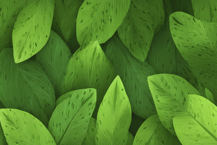 Green Texture Background Image 10