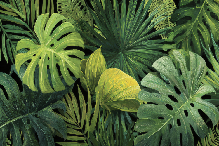 Pattern Background Image 17