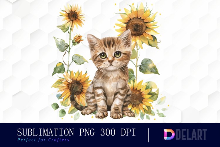 Kitten Png Image 8